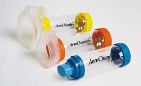 Berger chambre d'inhalation enfant meduim