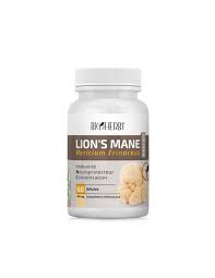 Indoka lion's mane 60 gelules