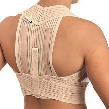 Berger redresse dos small