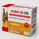 shen qi-gs 10ampoules buvables 10ml