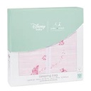 disnep bebe sleeping bag