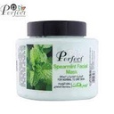 perfect gommage peppermint 500g (copie)