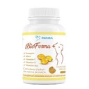 Indoka bioforma 60 gelules