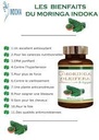 Indoka moringa oleifera 90 gélules