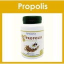 Indoka C-Propolis 60 comprimés